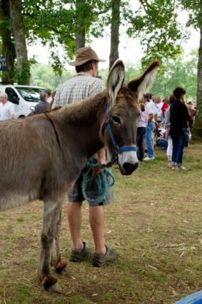 fete_de_l_ane_seilhac
