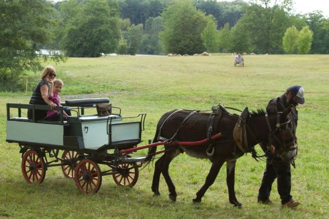 fete_de_l_ane_seilhac