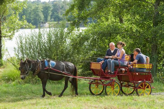 fete_de_l_ane_seilhac