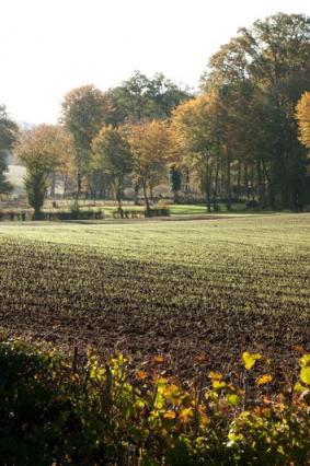 la_campagne_seilhacoise