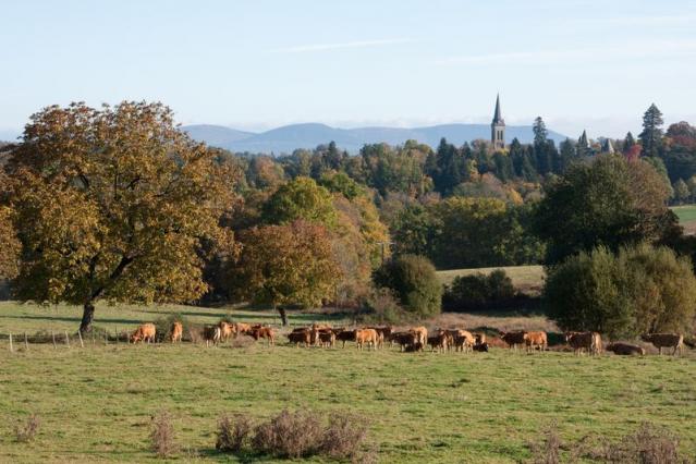 la_campagne_seilhacoise