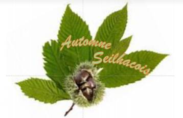 Automne seilhacois